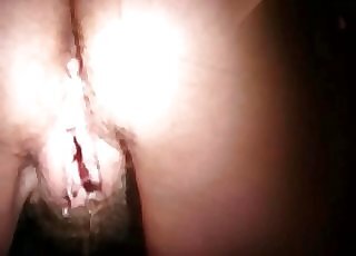 Dog Porn Tube